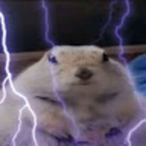 Meet your Posher, Jayden